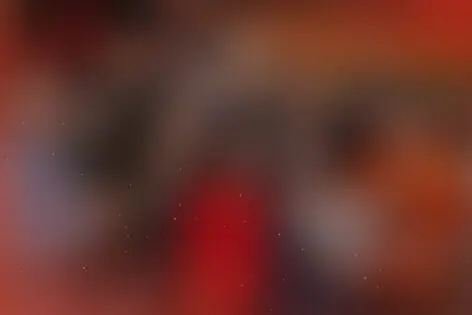 Квиз «Эйнштейн party» от Эйнштейн party