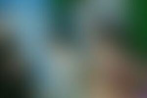 Фотография квеста-анимации Among Us от компании Квествилль (Фото 1)