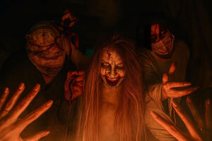 Фотография перформанса Кома от компании Obrazwill (Фото 2)